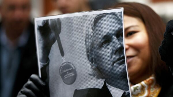 supporter de Julian Assange - Sputnik Afrique