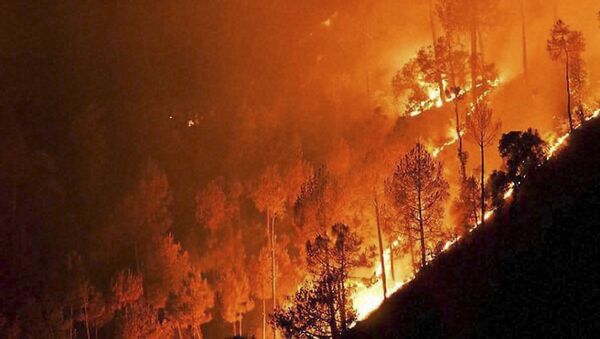 Une canicule record cause des incendies dans l’est australien - Sputnik Afrique