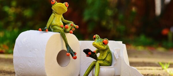 Du papier toilette pour smartphones dans un aéroport japonais - Sputnik Afrique