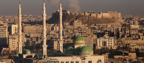 Alep - Sputnik Afrique