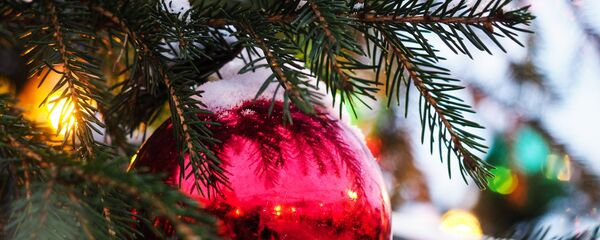 Sapin de Noël Sapin de Noël - Sputnik Afrique