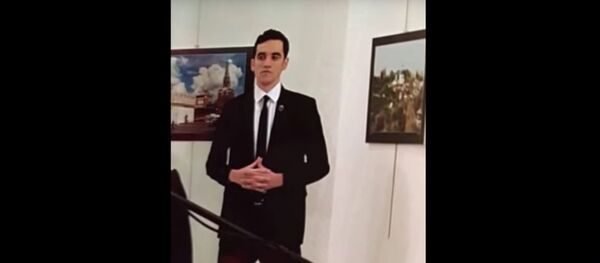 Mevlüt Mert Altintas - Sputnik Afrique