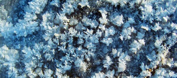 Neige - Sputnik Afrique