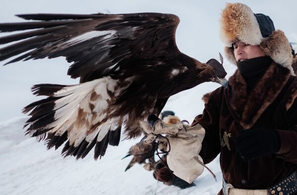 Festival de chasse à l’aide d’un aigle royal au Kazakhstan - Sputnik Afrique