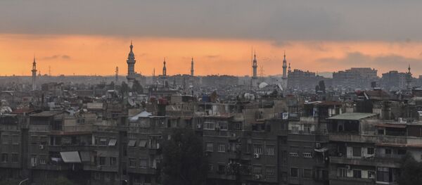 Damas - Sputnik Afrique