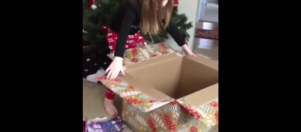 Quand ton cadeau de Noël se cache - Sputnik Afrique