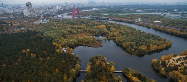 Serebryanï Bor - Sputnik Afrique