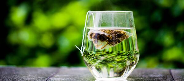 thé vert - Sputnik Afrique