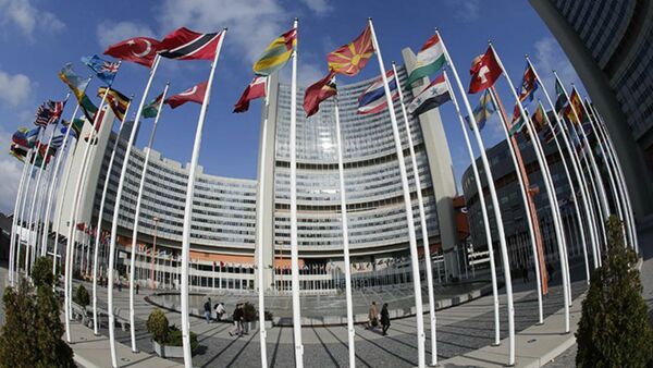 Le Conseil de Sécurité a prorogé la résolution humanitaire sur la Syrie pour une année - Sputnik Afrique