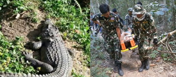 Le selfie d’une Française avec un crocodile en Thaïlande tourne mal - Sputnik Afrique