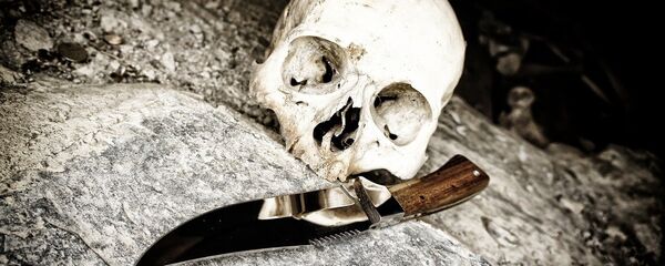 Un crâne - Sputnik Afrique