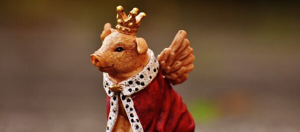 cochon - Sputnik Afrique