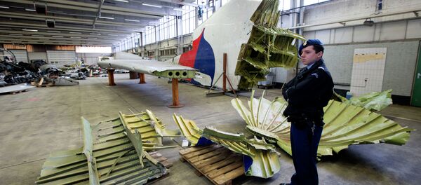 La police militaire néerlandaise à côté de fragments de l'avion du vol MH17 dans un hangar à la base aérienne de Gilze-Rijen, Pays-Bas, le 3 mars 2015 - Sputnik Afrique