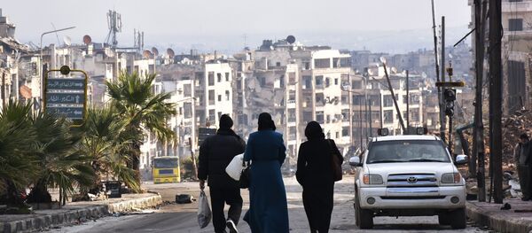 Alep - Sputnik Afrique