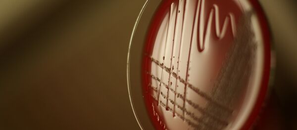 Bacteries - Sputnik Afrique