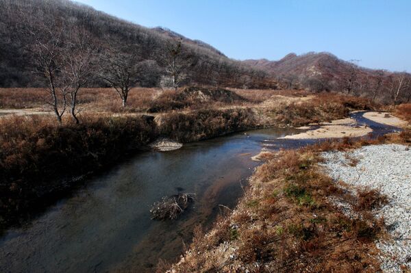 Le parc national Terre du léopard dans le territoire de Primorié  - Sputnik Afrique