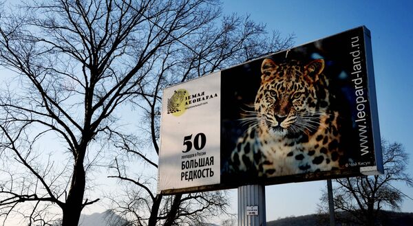 Le parc national Terre du léopard dans le territoire du Primorié  - Sputnik Afrique