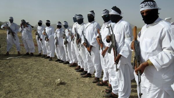 Combattants talibans - Sputnik Afrique
