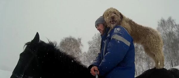 Le meilleur compagnon de voyage - Sputnik Afrique