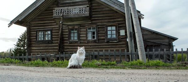 Le plus beau village russe - Sputnik Afrique