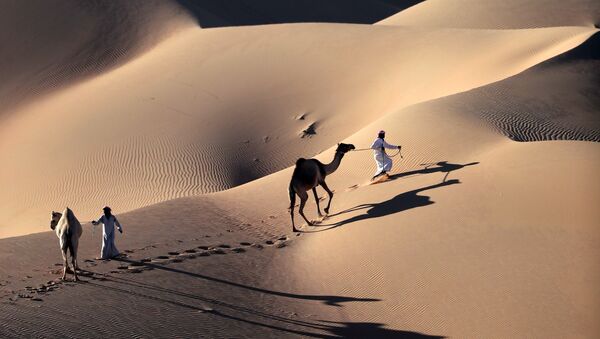Le désert de Liwa à quelque 250 km à l'ouest de l'émirat d'Abou Dabi - Sputnik Afrique
