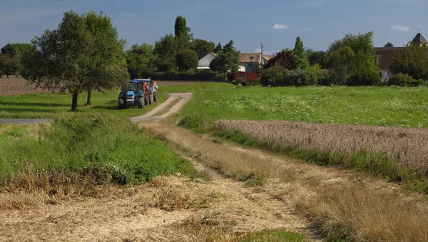 farmland - Sputnik Afrique