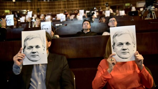Des portraits de Julian Assange - Sputnik Afrique