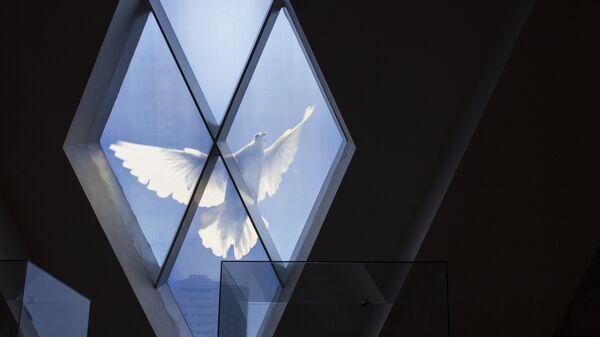 Colombe de la paix - Sputnik Afrique