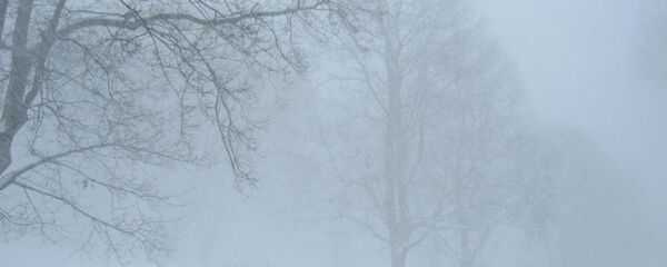 Les tempêtes de neige laissent des milliers de foyers sans électricité en France  - Sputnik Afrique