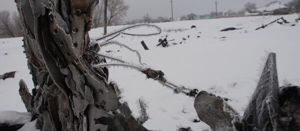 Lieu du crash du MH17 (Archives) - Sputnik Afrique