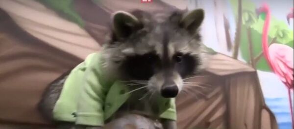 Zorro - Sputnik Afrique