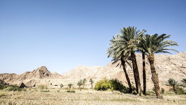 Tabas, une ville-oasis en plein cœur d’un du désert iranien - Sputnik Afrique