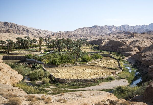 Tabas, une ville-oasis en plein cœur d’un du désert iranien - Sputnik Afrique