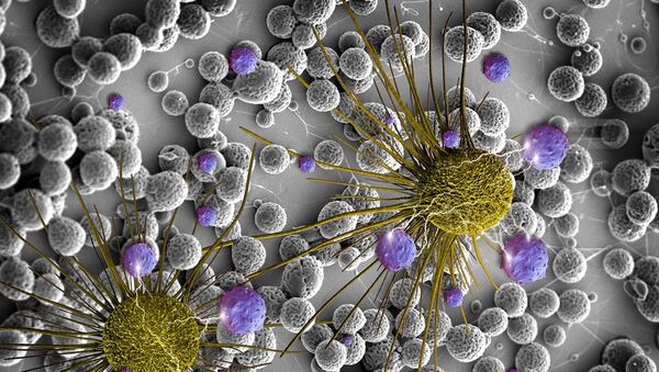 Des cellules cancéreuses. Image d'illustration - Sputnik Afrique
