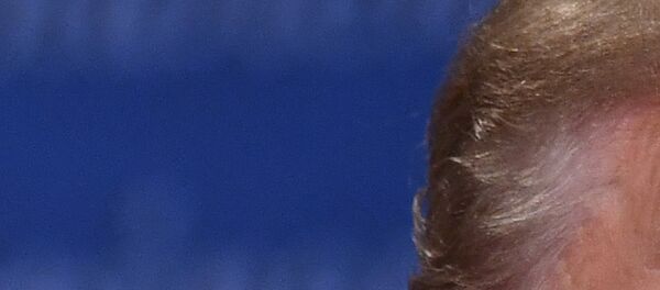 Der neu gewählte US-Präsident Donald Trump - Sputnik Afrique