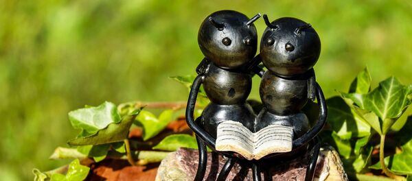 termites - Sputnik Afrique