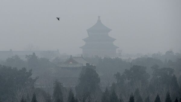 A bird flies over the grounds of the Temple of Heaven amid heavy air pollution in Beijing on December 8, 2015. - Sputnik Afrique