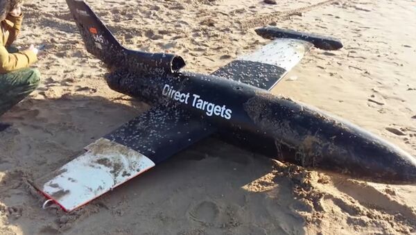 Le drone Airbus trouvé au large de la mer Noire - Sputnik Afrique
