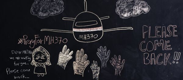 MH370 - Sputnik Afrique
