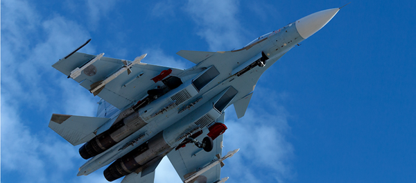 La Russie élaborera pour les EAU un avion de chasse léger de cinquième génération - Sputnik Afrique