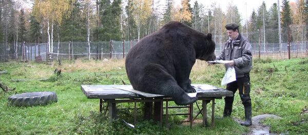 Juuso - Sputnik Afrique