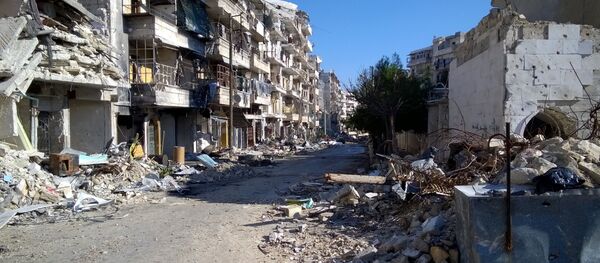 L’armée syrienne reprend à Daech 29 villages à l'est d'Alep - Sputnik Afrique