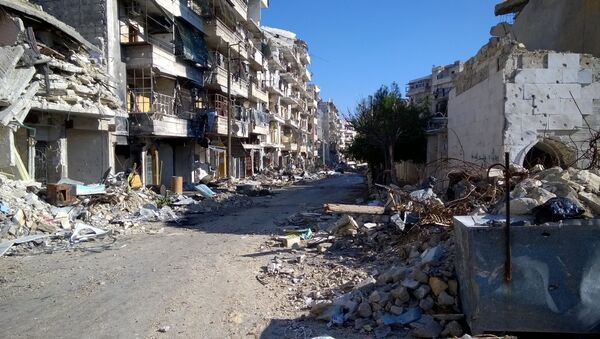 L’armée syrienne reprend à Daech 29 villages à l'est d'Alep - Sputnik Afrique
