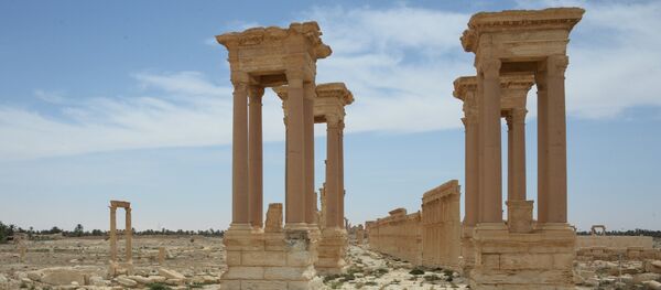 Palmyre - Sputnik Afrique