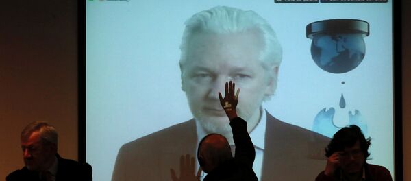 Julian Assange - Sputnik Afrique