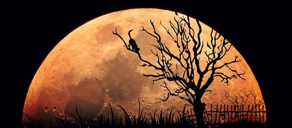 La Lune - Sputnik Afrique