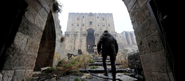 Pierre le Corf appelle Hollande à arrêter de voler la voix des Syriens - Sputnik Afrique