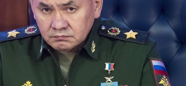 Sergueï Choïgou - Sputnik Afrique
