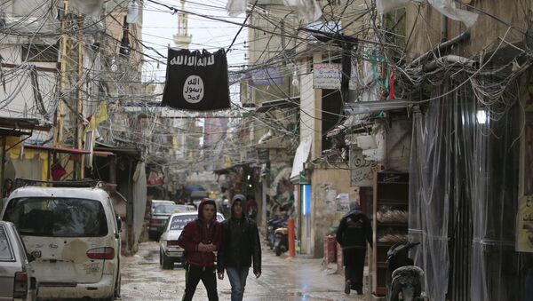 Youth walk under an Islamic State flag in Ain al-Hilweh Palestinian refugee camp, near the port-city of Sidon, southern Lebanon January 19, 2016 - Sputnik Afrique