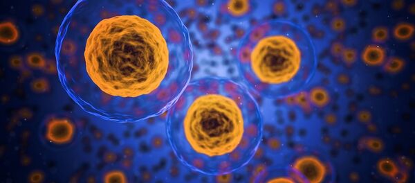 человеческие клетки - Sputnik Afrique